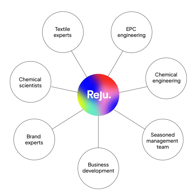 Image of Reju organisational chart